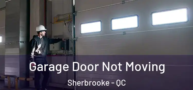  Garage Door Not Moving Sherbrooke - QC