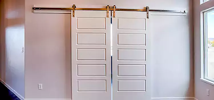 Glass Barn Door with Installation Hardware Kit Sherbrooke